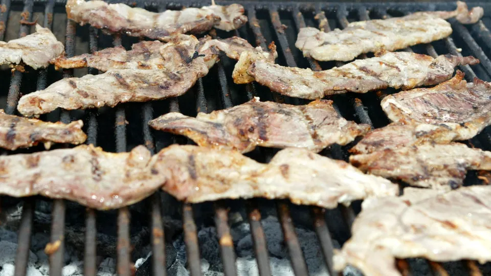 CARNE PORCO/ALIMENTACAO