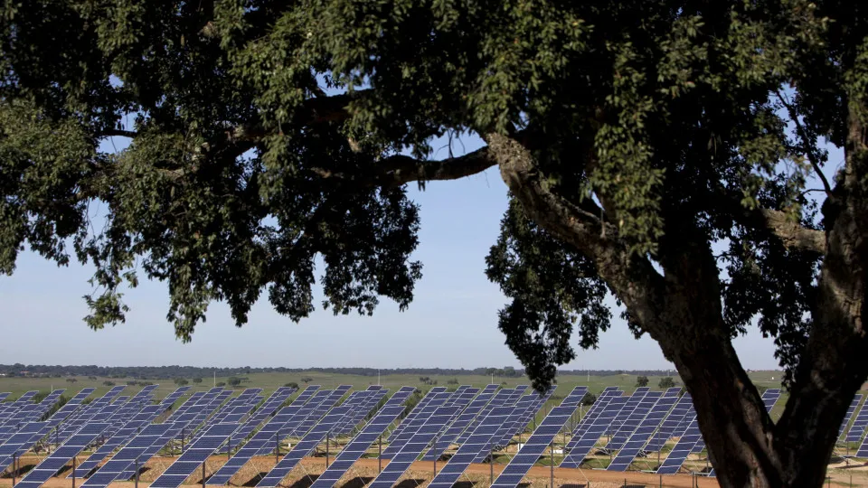 Inauguração de parque solar fotovoltaico em Montemor-o-Novo. NUNO VEIGA/LUSA