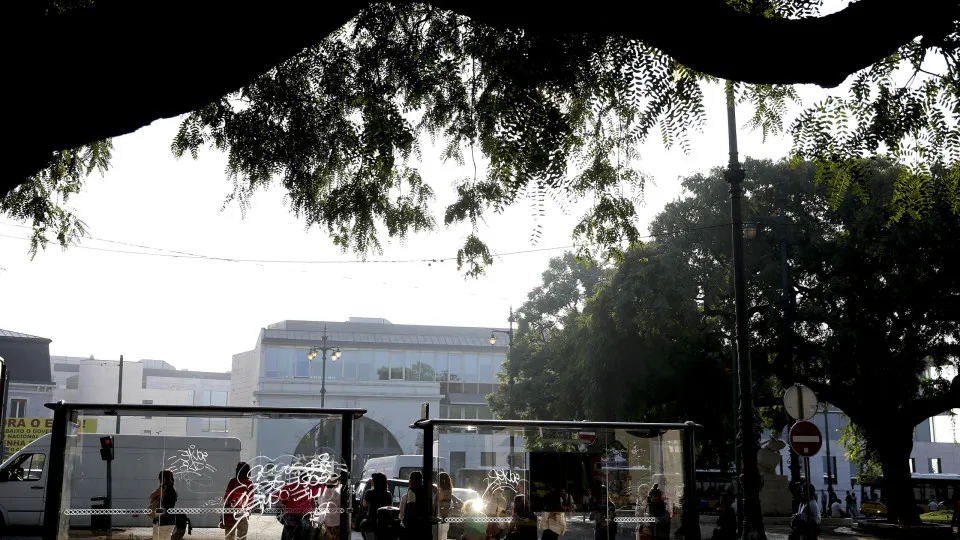 Algarve aprova redução de 50% no custo dos passes de transportes públicos