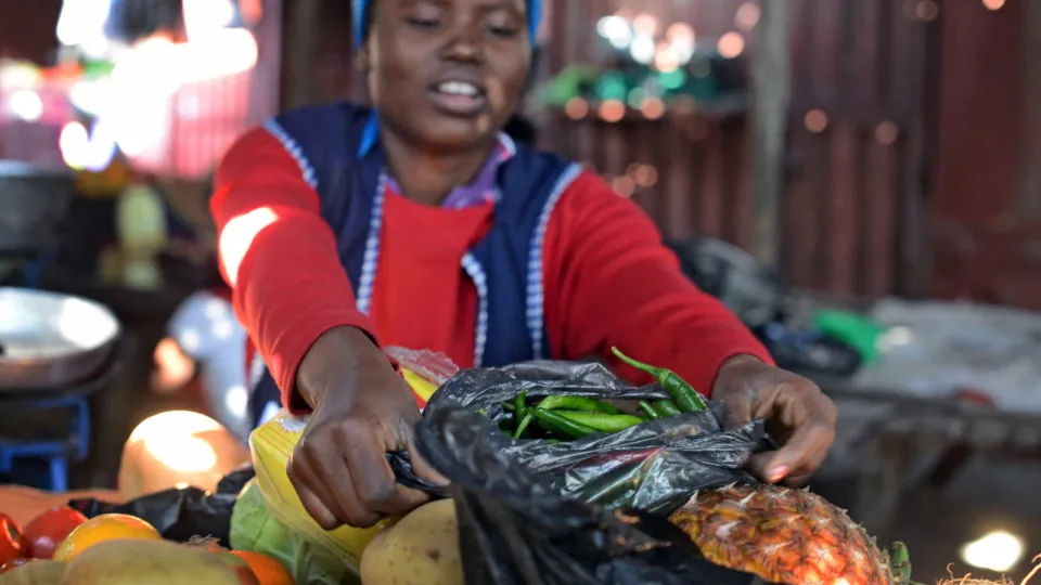 Moçambique declara guerra aos sacos plásticos e consumidores aplaudem