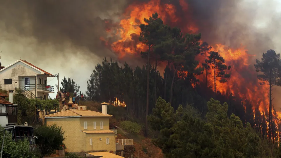 Agricultores do Norte afetados pelos incêndios declaram 2,4 milhões de prejuízos