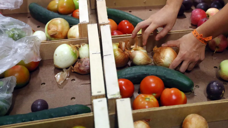 Exportações de frutas, legumes e flores sobem 23% para 724 ME até junho - Portugal Fresh