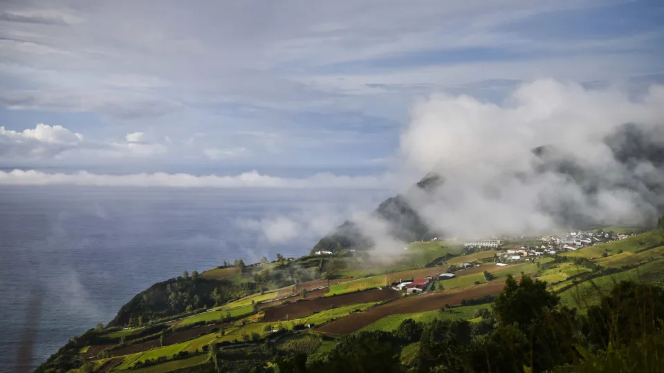 Maioria das 80 espécies de plantas endémicas dos Açores ameaçada