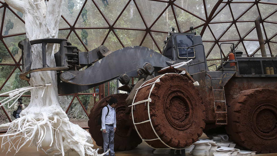 Fundador do museu brasileiro absolvido de branqueamento de capitais