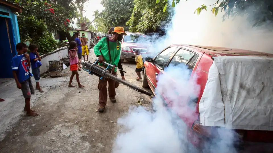 ONG quer replicar em outros países sucesso no combate à dengue em Timor-Leste