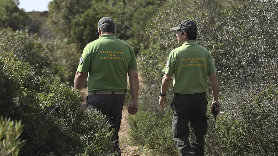 Associações de ambiente pedem contratação urgente de vigilantes