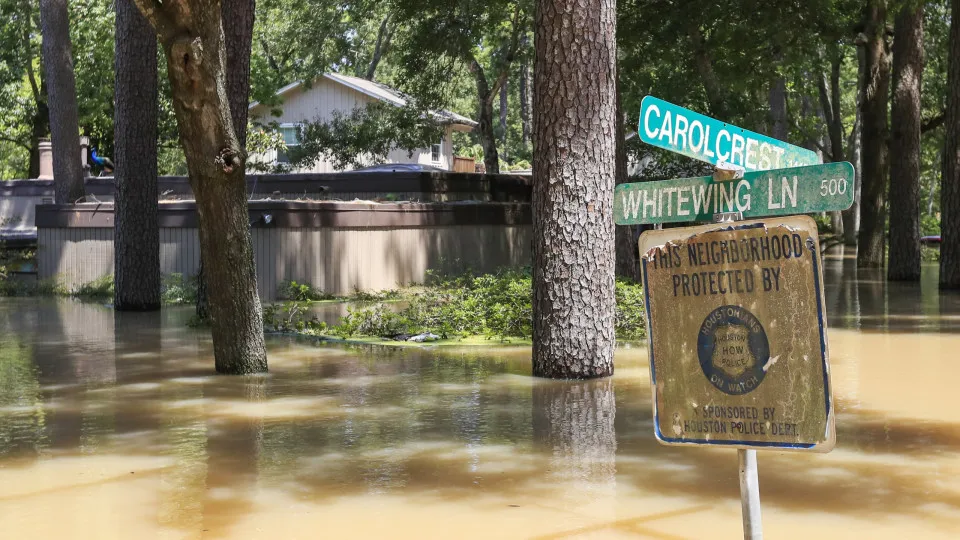 Hurricane Harvey aftermath