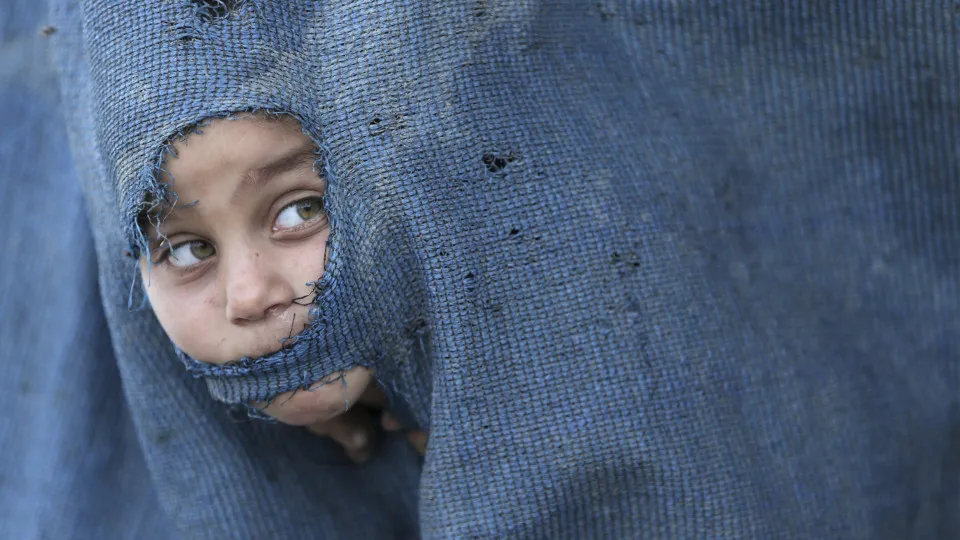 Plataforma de Apoio acolheu quase 700 refugiados nos últimos três anos