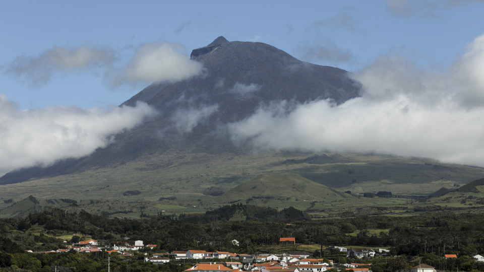 Construção da nova fábrica da Cofaco no Pico avança até final do ano