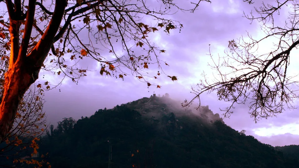 Videovigilância para os Parques de Sintra, Cascais, Mafra e Arrábida