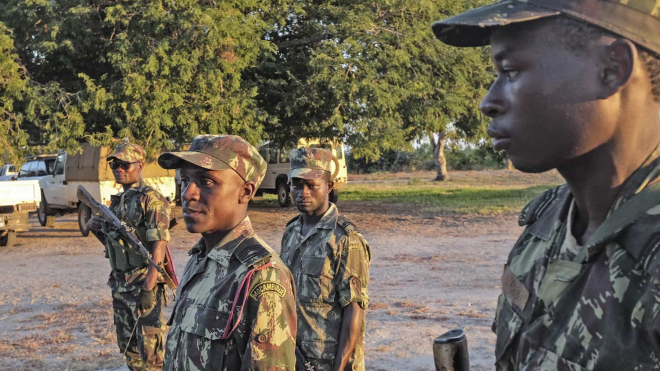 Moçambique. Forças governamentais "tudo têm feito" para devolver sossego