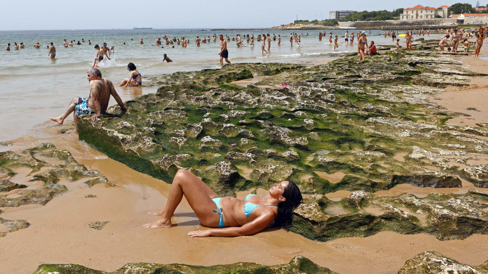 Algas detetadas nas praias do Tamariz e de Carcavelos não são nocivas