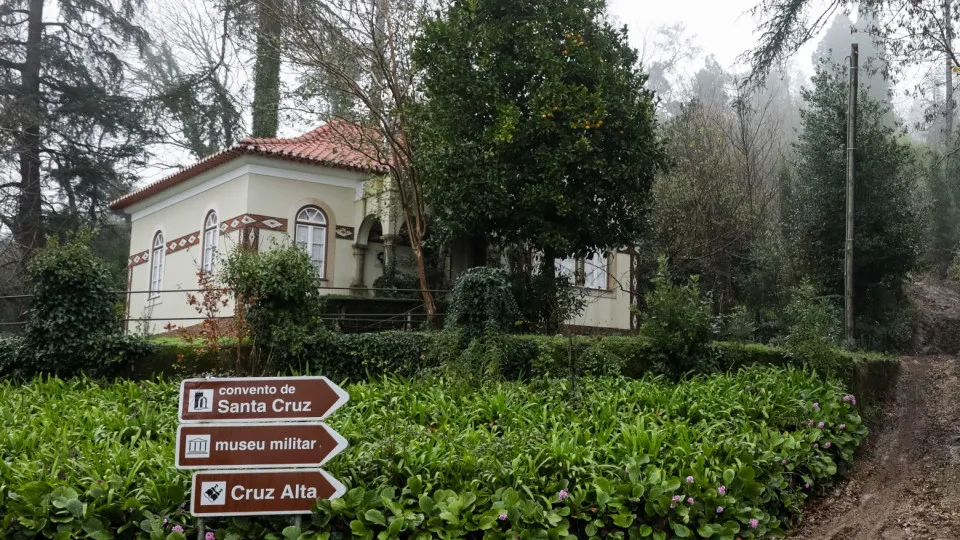 Mata do Bussaco é a primeira floresta terapêutica da Península Ibérica