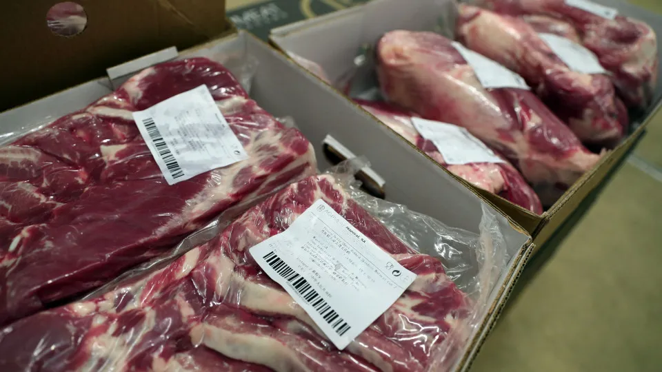 Novas regras para embalagens entram em vigor na UE na quarta-feira