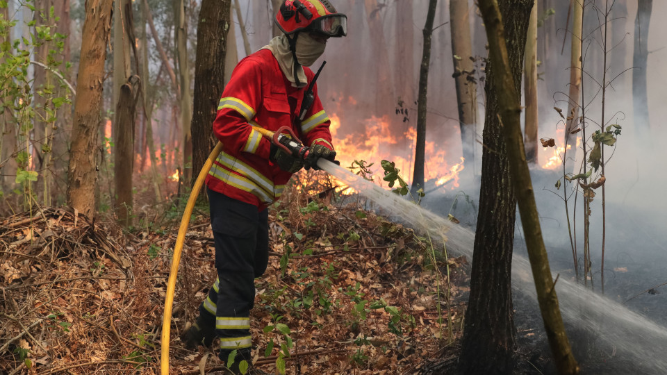 Mais de 600 bombeiros combatem chamas em Miranda do Corvo