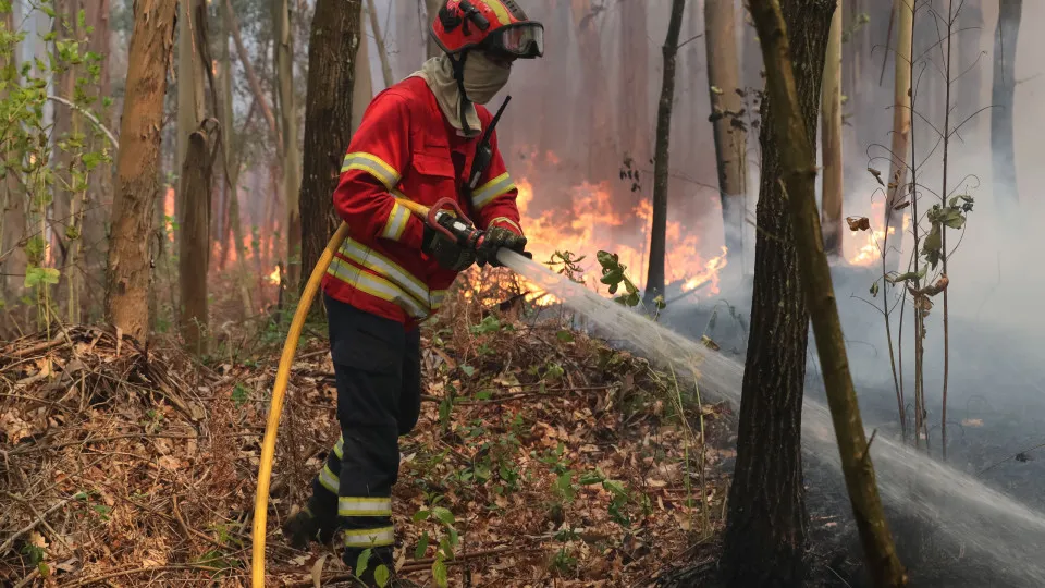 Serra do Montejunto. Dez meios aéreos (e 300 operacionais) combatem fogo