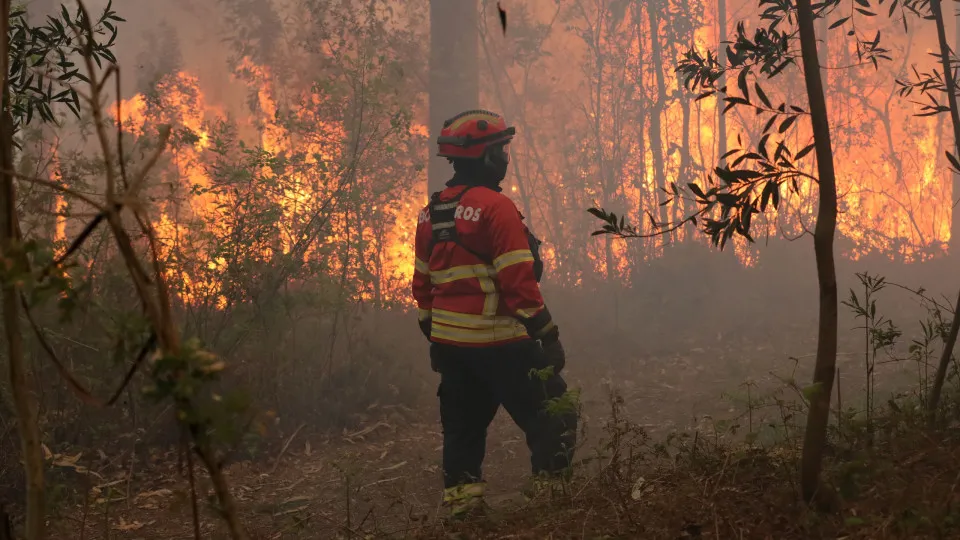Fogo em Azeméis agrava-se com o vento e exigirá "particular atenção" à noite