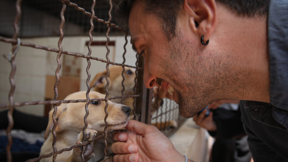 PAN dá voz a causa que já não é dos "tontinhos dos animais"