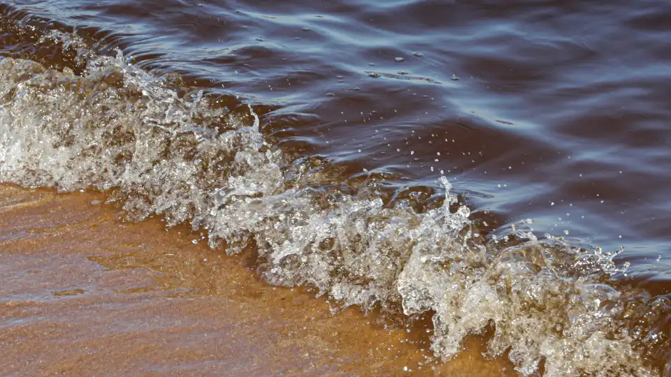 Praias de Vila do Bispo reabertas a banhos após derramamento de crude