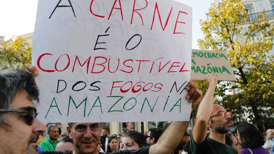 Greenpeace pede boicote de produtos brasileiros fruto da desflorestação