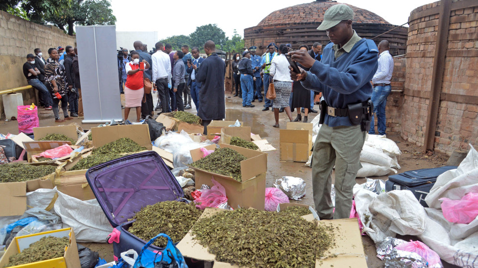 Polícia moçambicana incinerou 46 kg de droga apreendida em Maputo