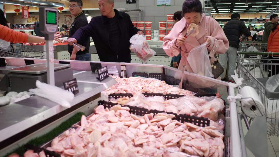 Hong Kong proíbe importação de frango de Lisboa após gripe aviária