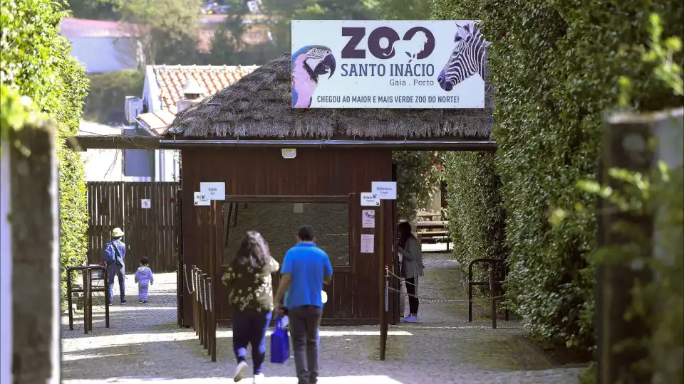 Zoo Santo Inácio em Gaia encerrado devido à qualidade do ar