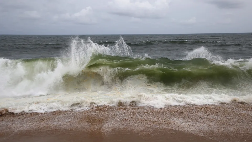 Interdita a banhos a Praia de Cabedelinho na Figueira da Foz