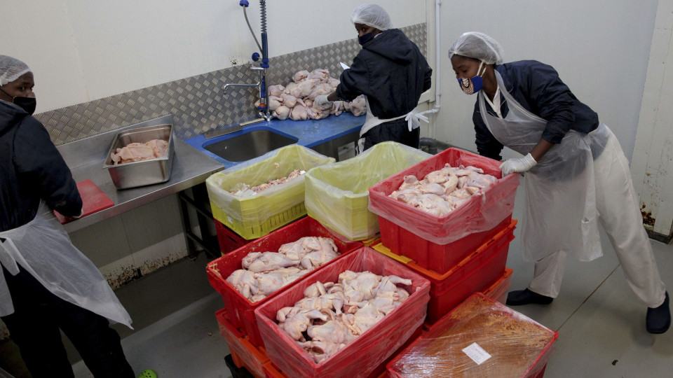 Importação de alimentos em Angola caiu 12,6% no 2.º  trimestre de 2024