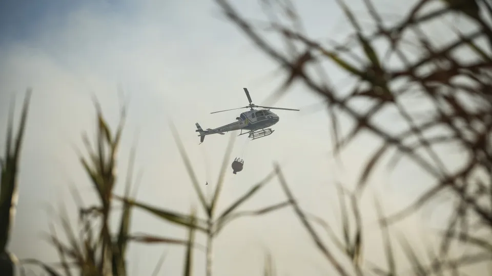 Incêndios: Risco máximo em seis distritos do interior Norte