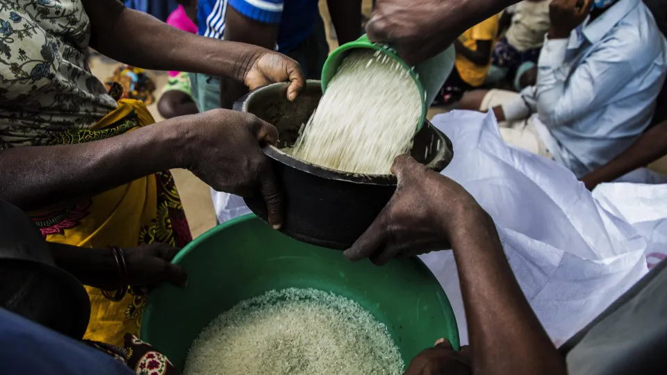 Angola produz 40 mil toneladas de arroz e importa 15 vezes mais