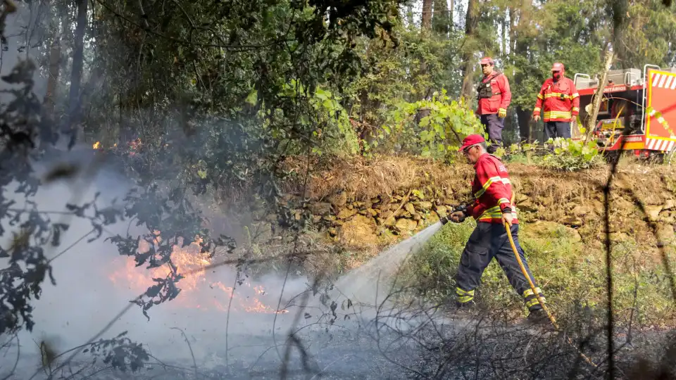 Três fogos em Sever do Vouga e em Fafe eram os mais preocupantes às 11h00