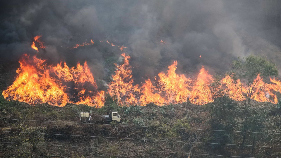 Área ardida até 15 de julho representa 5º valor mais elevado desde 2011