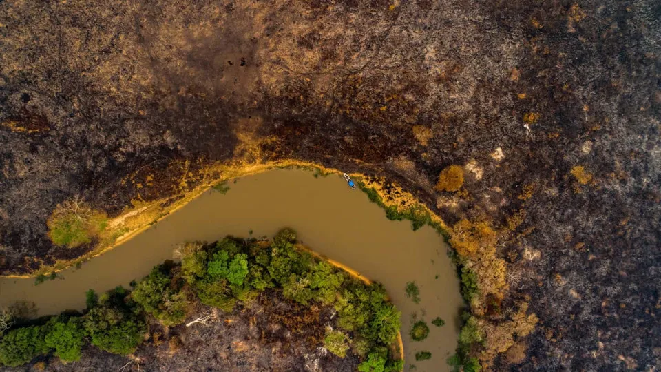 Brasil perdeu 500 mil quilómetros quadrados de vegetação natural