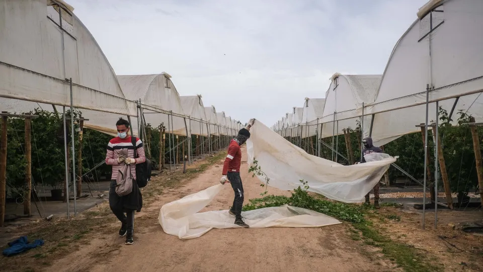 2/3 dos portugueses querem menos imigrantes do subcontinente indiano