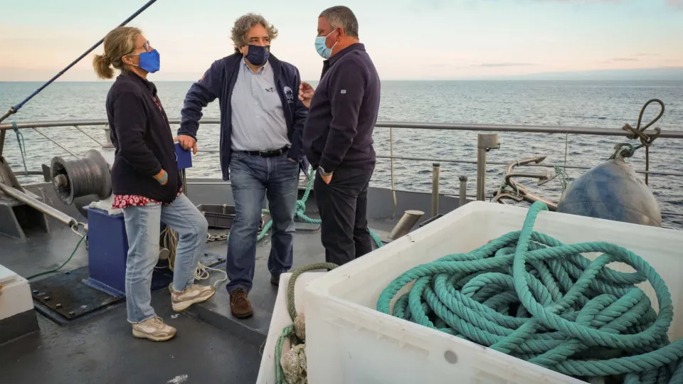 Pesca da sardinha reabre hoje após quase sete meses