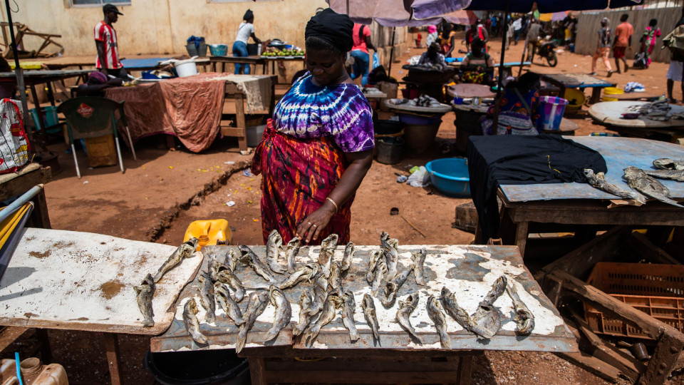 Preços da Guiné-Bissau aumentaram 0,7% em fevereiro em relação a janeiro