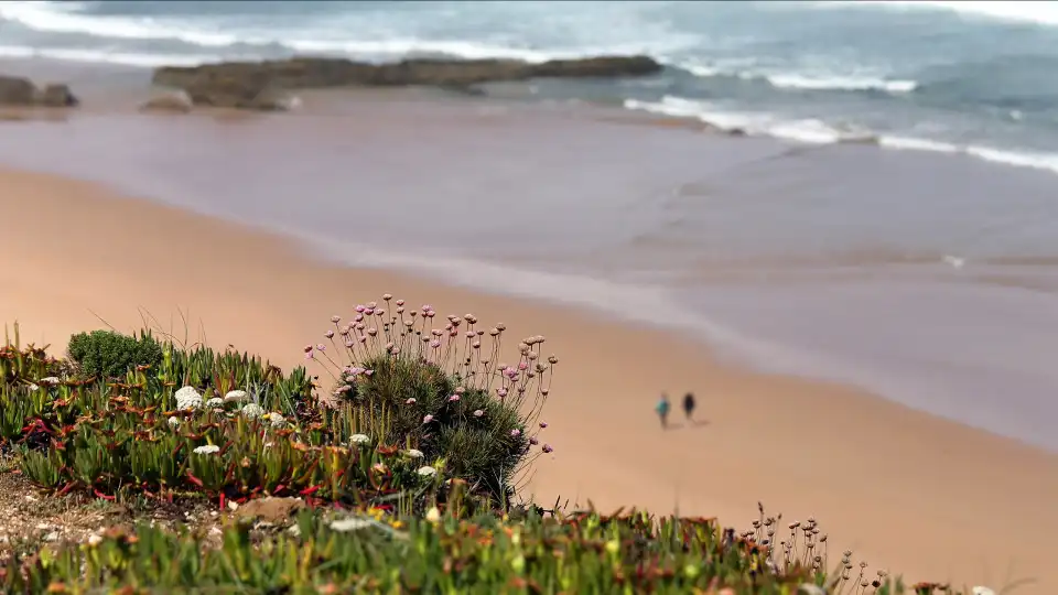 Foco de poluição detetado em praia do Algarve. Origem é desconhecida