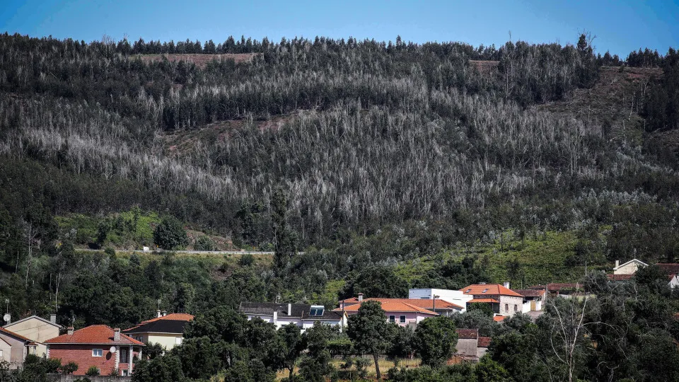 Reconstrução de casas em Pedrógão esteve suspensa por falta de pagamento