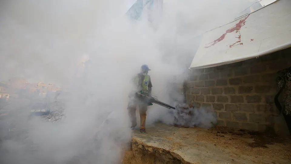Surto de dengue em Timor-Leste com mais casos e mortes do que em 2021