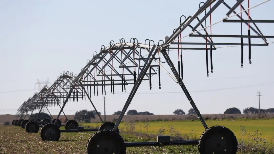 Agricultores. Reprogramação do PEPAC tem 'ok' com aumento do rendimento