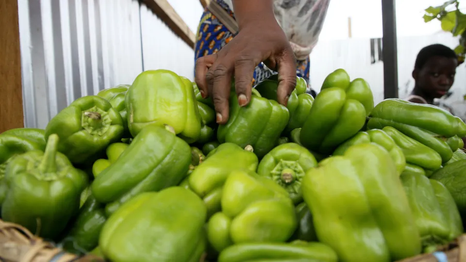 Food and fuel prices increase due to war in Ukraine