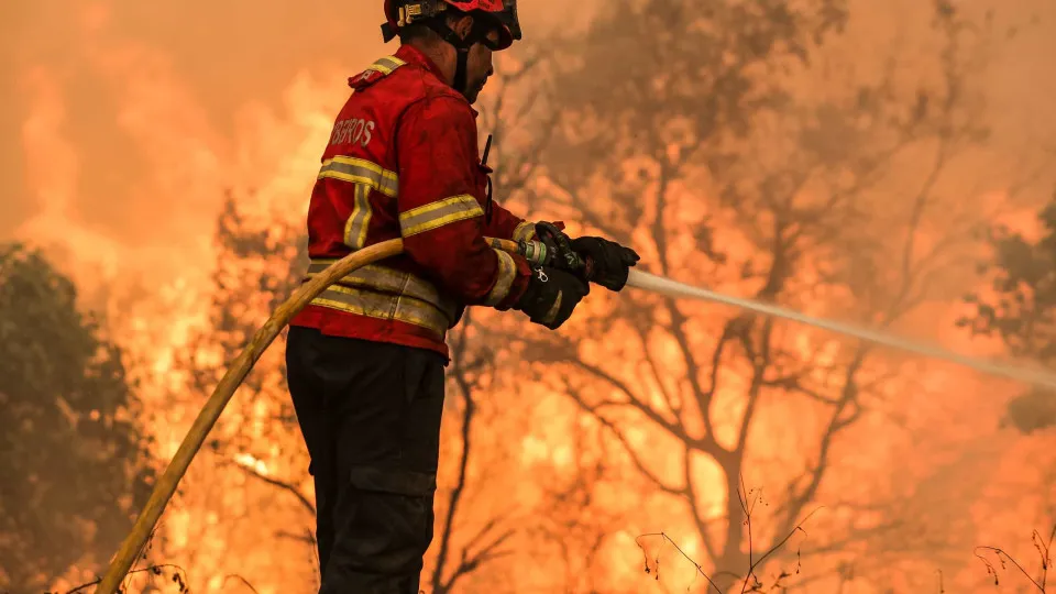 Incêndio de Azeméis alastrou a Albergaria-a-Velha e consome duas fábricas