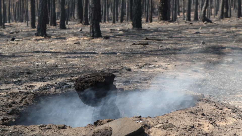 Maior incêndio do ano em Espanha controlado 28 dias depois