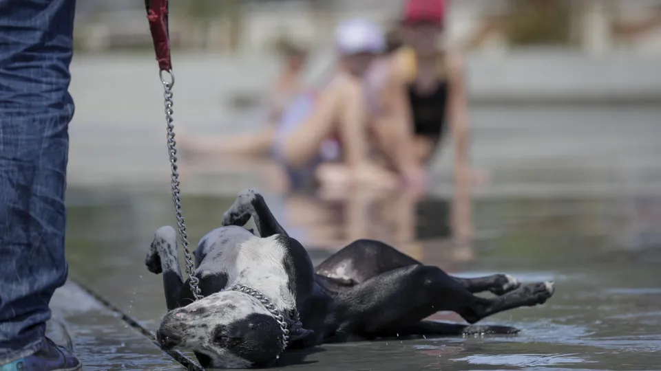 Heatwave in Belgium
