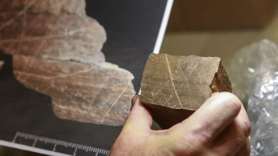 Descoberto no Côa novo fragmento de rocha gravada com mais de 16 mil anos