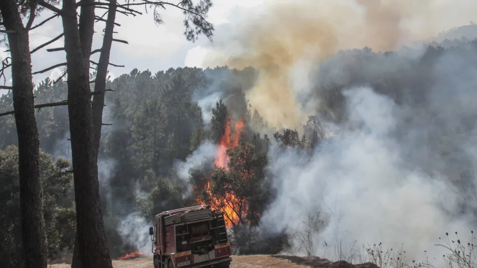 Mais de 1.600 bombeiros nos fogos na Covilhã e Oliveira do Hospital