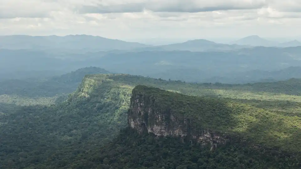 Brasil celebra Dia da Amazónia com pior seca em décadas e vários incêndios