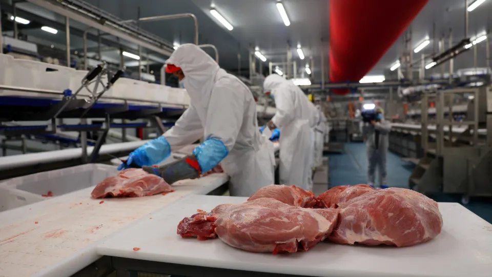 Angola proíbe importação de alguns produtos de origem animal