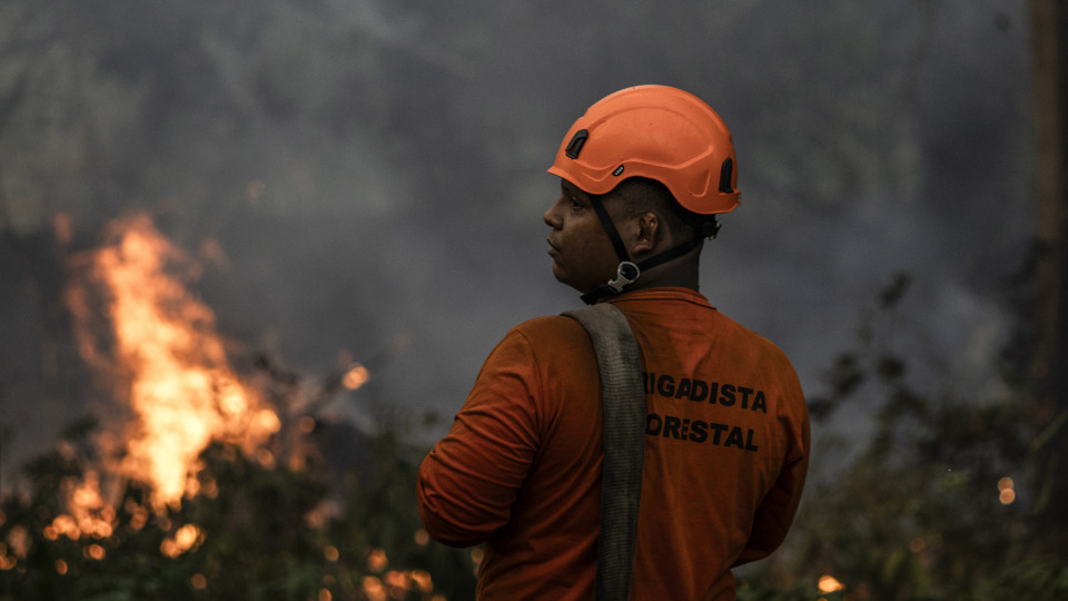 Amazónia brasileira com maior número de incêndios em 6 anos em novembro